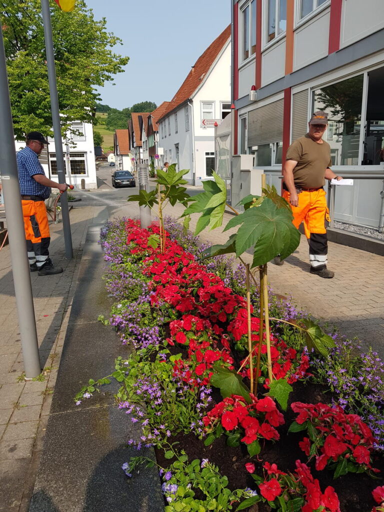 Sven Biesemeier und Michael Macha vom Bauhof haben viel zu tun. Aktuell haben sie u.a. die Sommerbeflanzung am Rathaus neugestaltet.